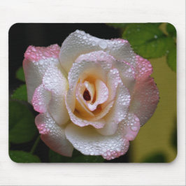Rose mit Regentropfen Mousepad