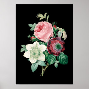 Rose mit schwarzem Hintergrund, gedruckt in Redout Poster