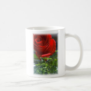 Rose mit Stern Kaffeetasse