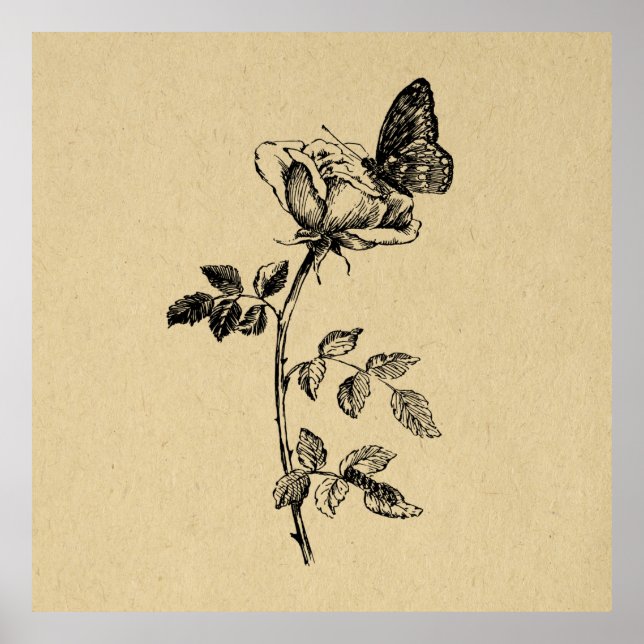 Rose mit Vintager Kunst Poster (Vorne)