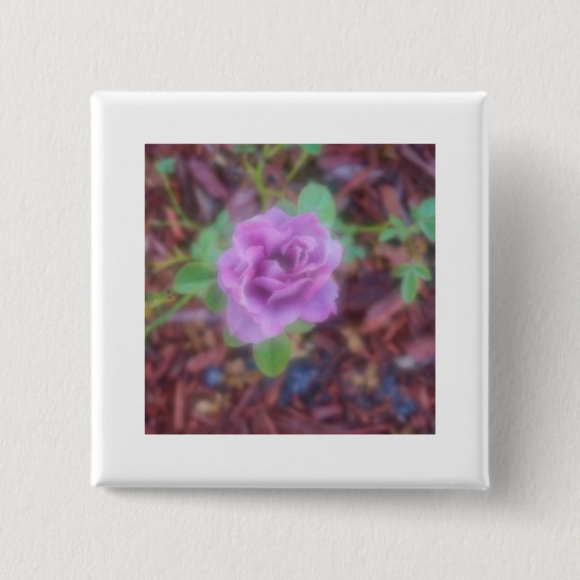 Rose mit Weichfokus Button (Vorderseite)