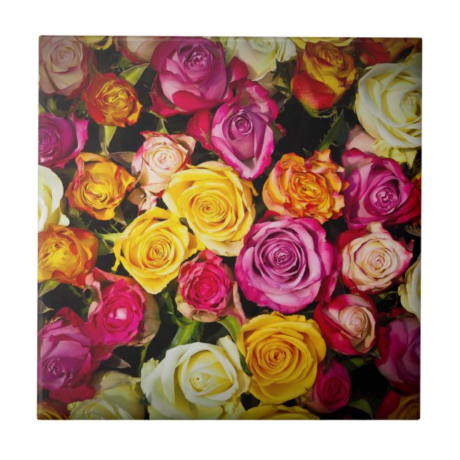 Rose Mix Fliese (Vorderseite)
