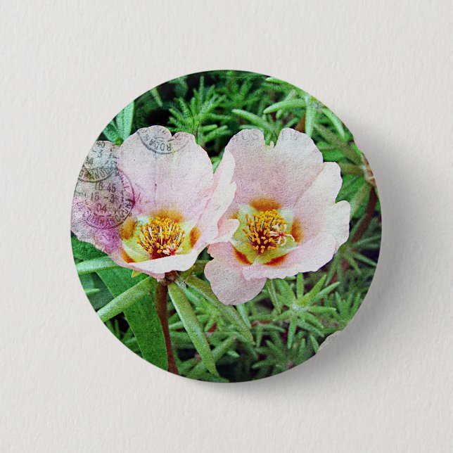 Rose Moss Blume Button (Vorderseite)