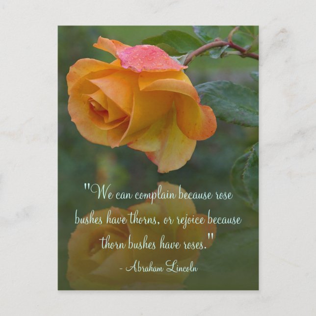 Rose Motivierend Lincoln Zitat Postkarte (Vorderseite)