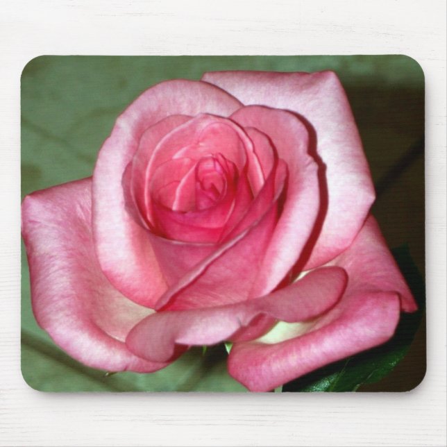 Rose Mousepad (Vorne)