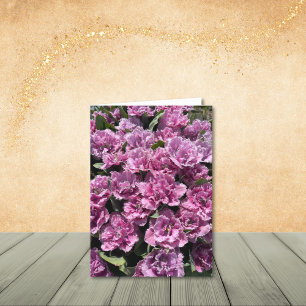 Rose Muté, Tulipes Frangées, Cartes De Notes