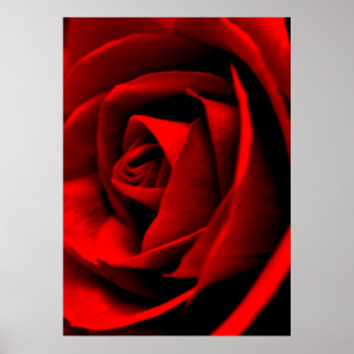 Rose Nah Poster