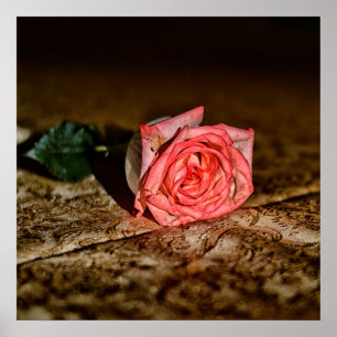 Rose Nah-up-Poster Poster