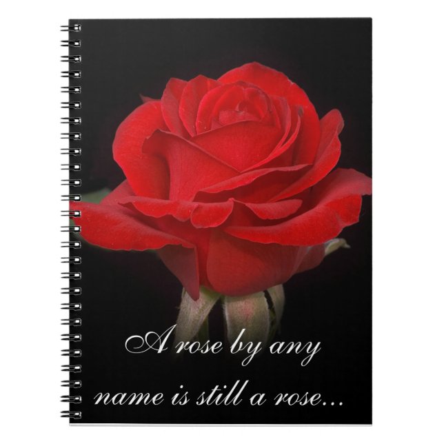 Rose Notebook 2 Notizblock (Vorderseite)