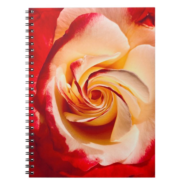 Rose-Notebook Notizblock (Vorderseite)