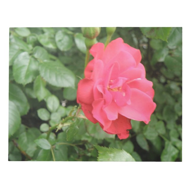 Rose Notepad Notizblock (Vorderseite)