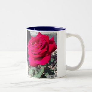 ROSE Nr. 1 TASSE