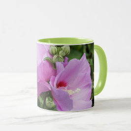 Rose of Sharon Tasse