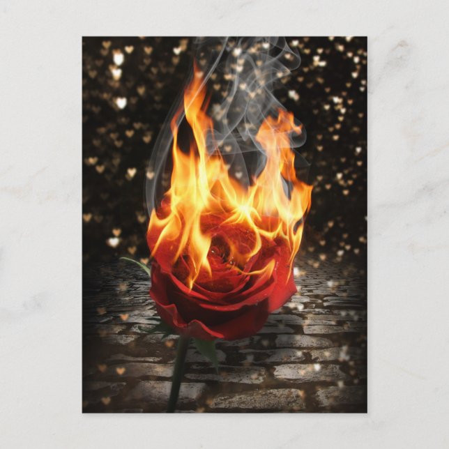 Rose On Fire, Burning Rose Postkarte (Vorderseite)