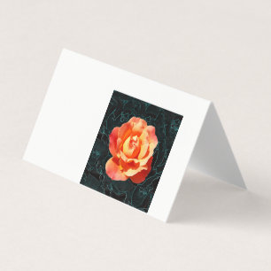 Rose orange clair