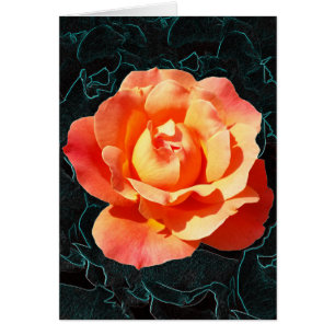 Rose orange clair