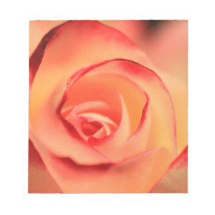 Rose Orange Rose Blüte Blüte Notizblock