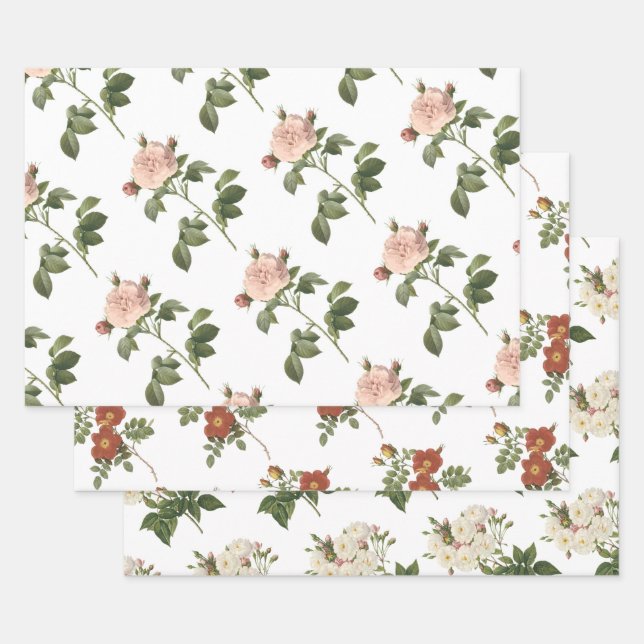 Rose Pattern Geschenkpapier Set (Set)