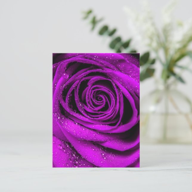 Rose Petals 2 Postkarte (Stehend Vorderseite)