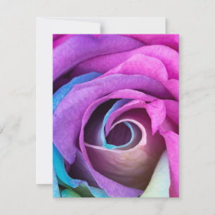 Rose Petals 6 Mitteilungskarte