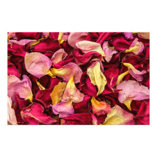 Rose Petals Fotodruck