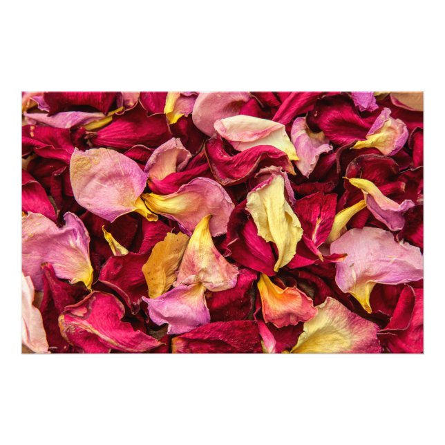 Rose Petals Fotodruck (Vorne)