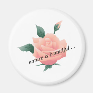 Rose (Pfirsich) - Schöne Natur Magnet