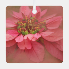 Rose Pinacoteca comunale Casa Rusca Ornament Aus Metall