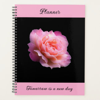Rose Pinky - planificateur