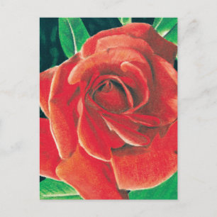 Rose Postcard von Jacob Grimm Postkarte