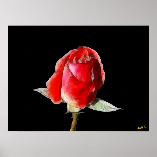 Rose Poster (Vorne)