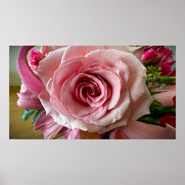 Rose, Poster (Vorne)