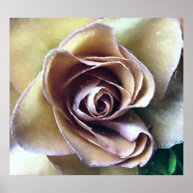 ROSE POSTER (Vorne)