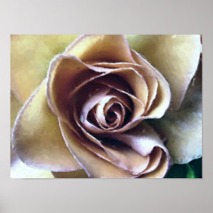ROSE POSTER