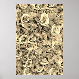 Rose Poster