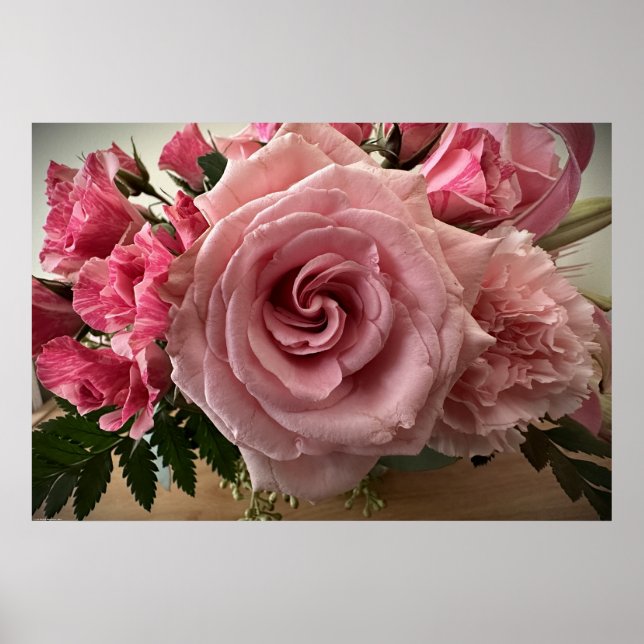 Rose, Poster (Vorne)