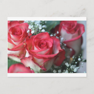 Rose Postkarte