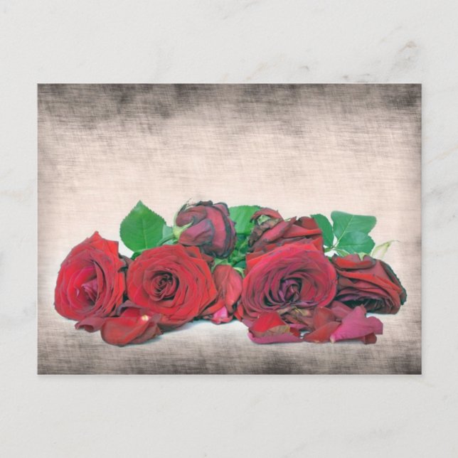 Rose Postkarte (Vorderseite)