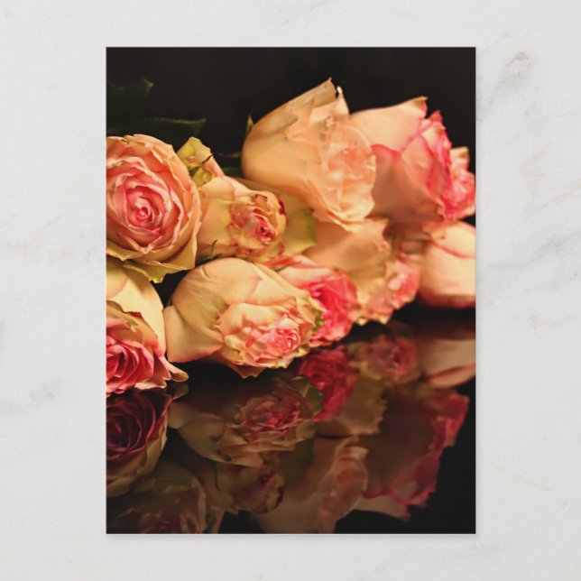 Rose Postkarte (Vorderseite)