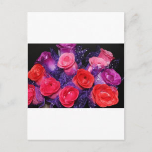 Rose Postkarte