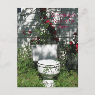 Rose Postkarte