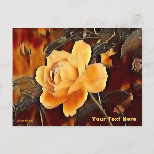 Rose Postkarte (Vorderseite)