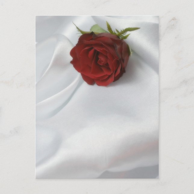 Rose Postkarte (Vorderseite)