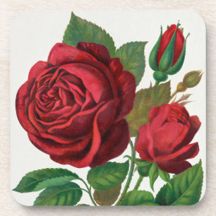 Rose Print Rochester Lithographing and Printing Co Getränkeuntersetzer