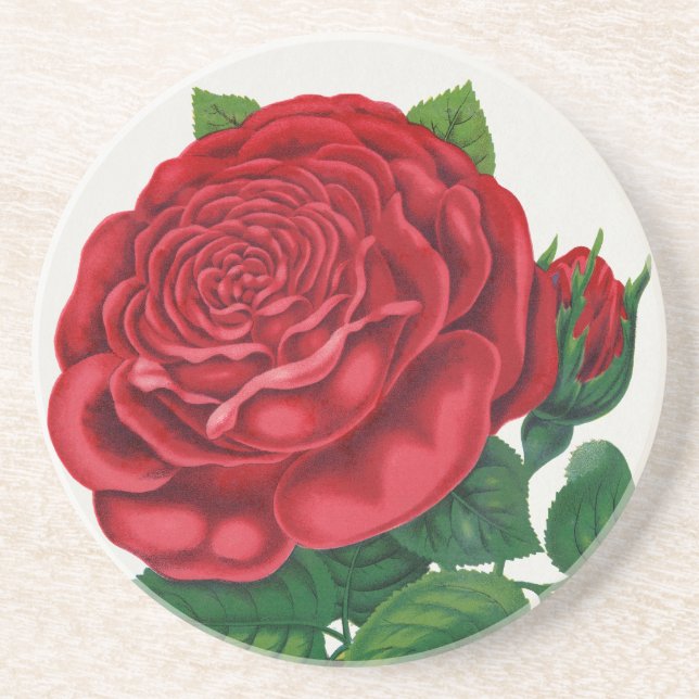 Rose Print Rochester Lithographing and Printing Co Getränkeuntersetzer (Vorne)