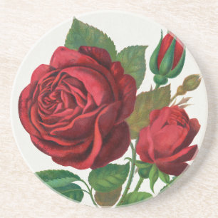 Rose Print Rochester Lithographing und Druckerei Getränkeuntersetzer