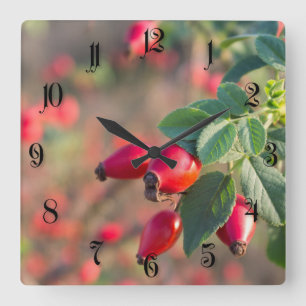 Rose Quadratische Wanduhr