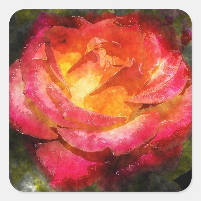 Rose Quadratischer Aufkleber (Vorderseite)