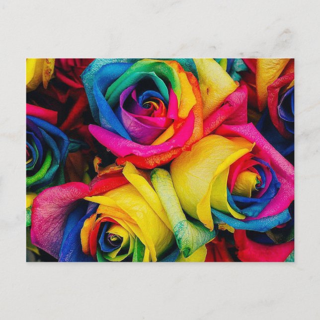 Rose Rainbow Postkarte (Vorderseite)