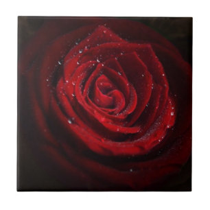 Rose Reben Herzstück Blume Frieden Liebe Destinati Fliese